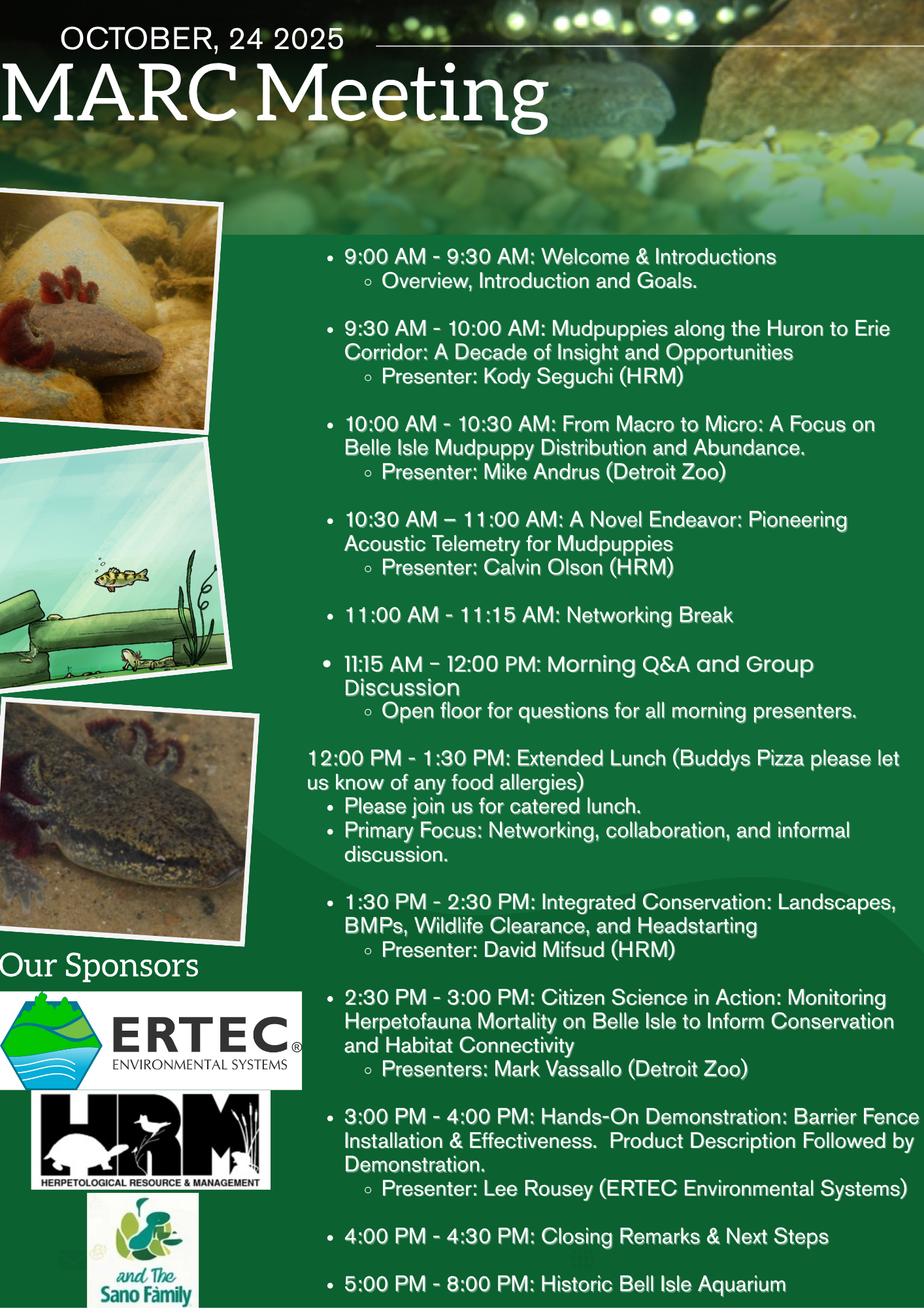 Your paragraph text (7)